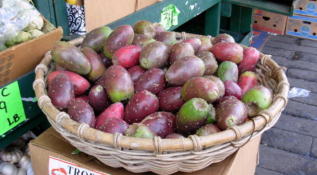 Best time for Cactus Pear in San Francisco