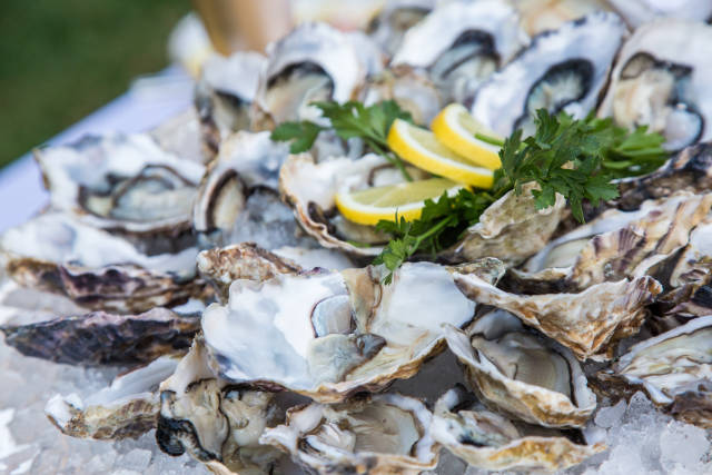 Oyster Season in San Francisco - Best Time
