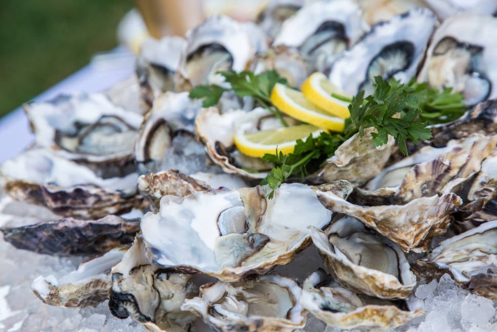 Oyster Season in San Francisco - Best Time