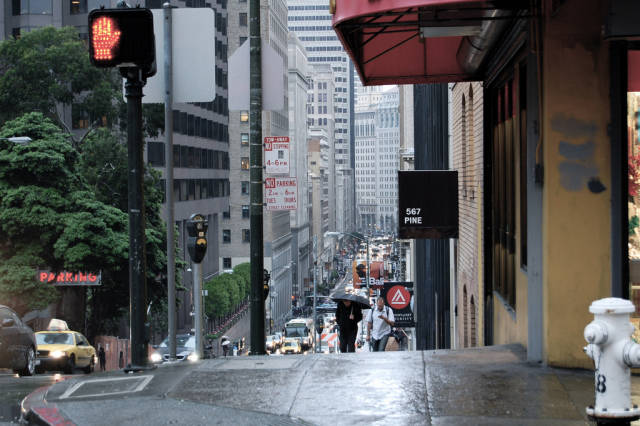 Spring in San Francisco - Best Season