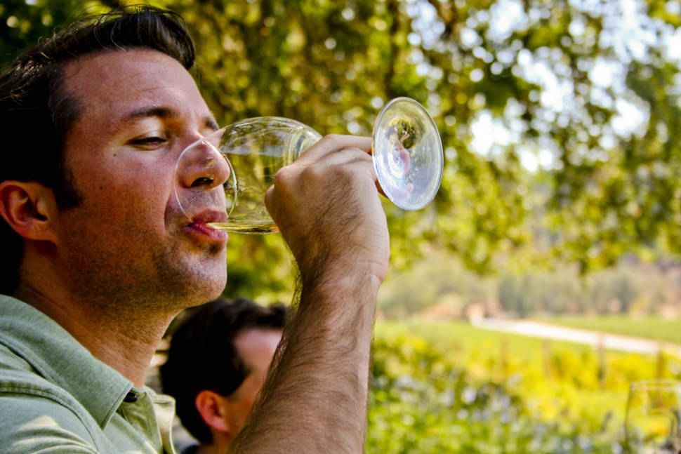 Best time to see Wine Season in San Francisco