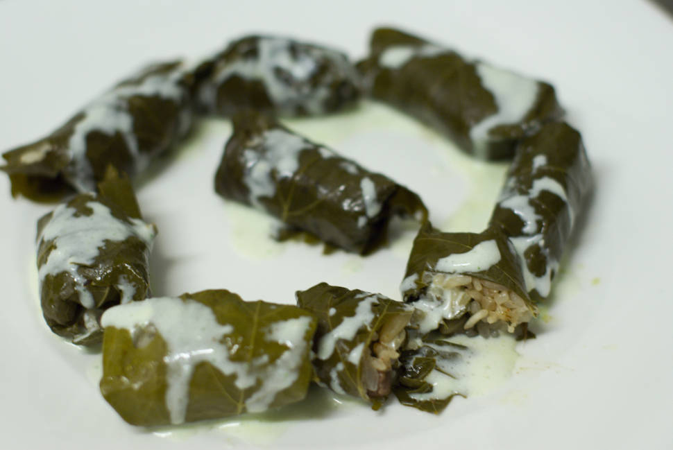 Fresh Stuffed Grape Leaves in Santorini - Best Season