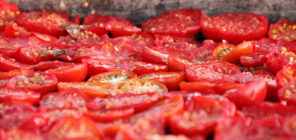 Santorini Cherry Tomatoes in Santorini - Best Season