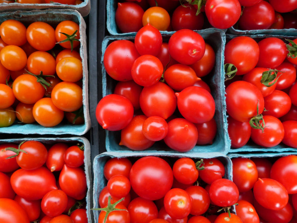 Santorini Cherry Tomatoes in Santorini - Best Time