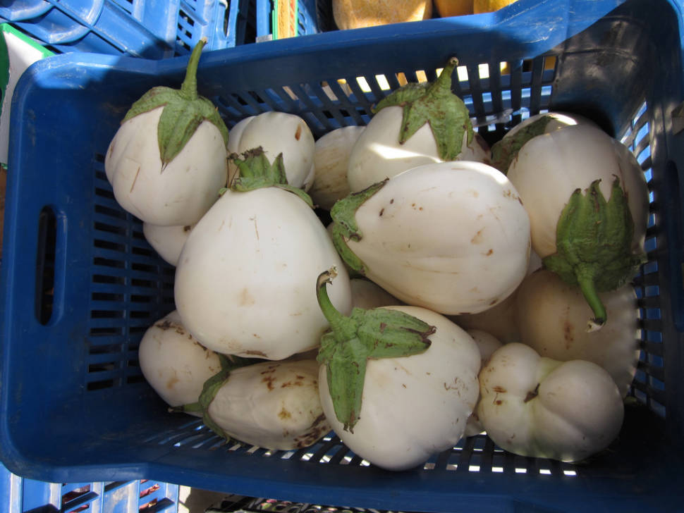 White Aubergine in Santorini - Best Time