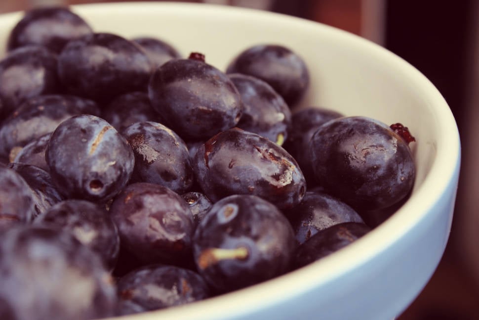 Damsons in Scotland - Best Time