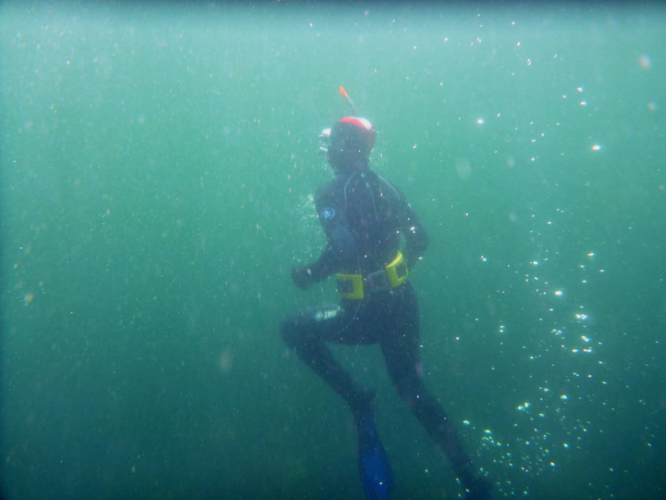 Diving in Scotland - Best Time