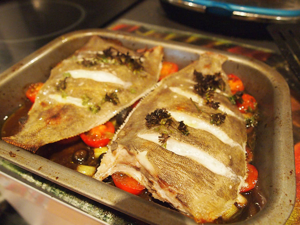 Lemon Sole in Scotland - Best Time