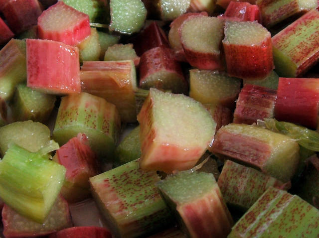 Rhubarb in Scotland - Best Time