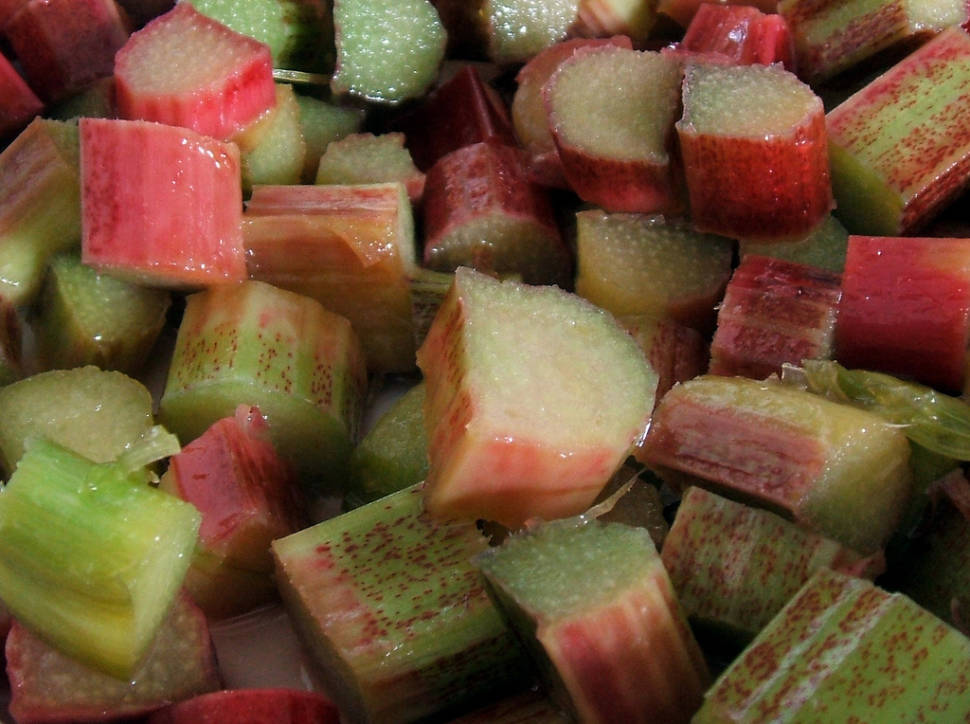 Rhubarb in Scotland - Best Time