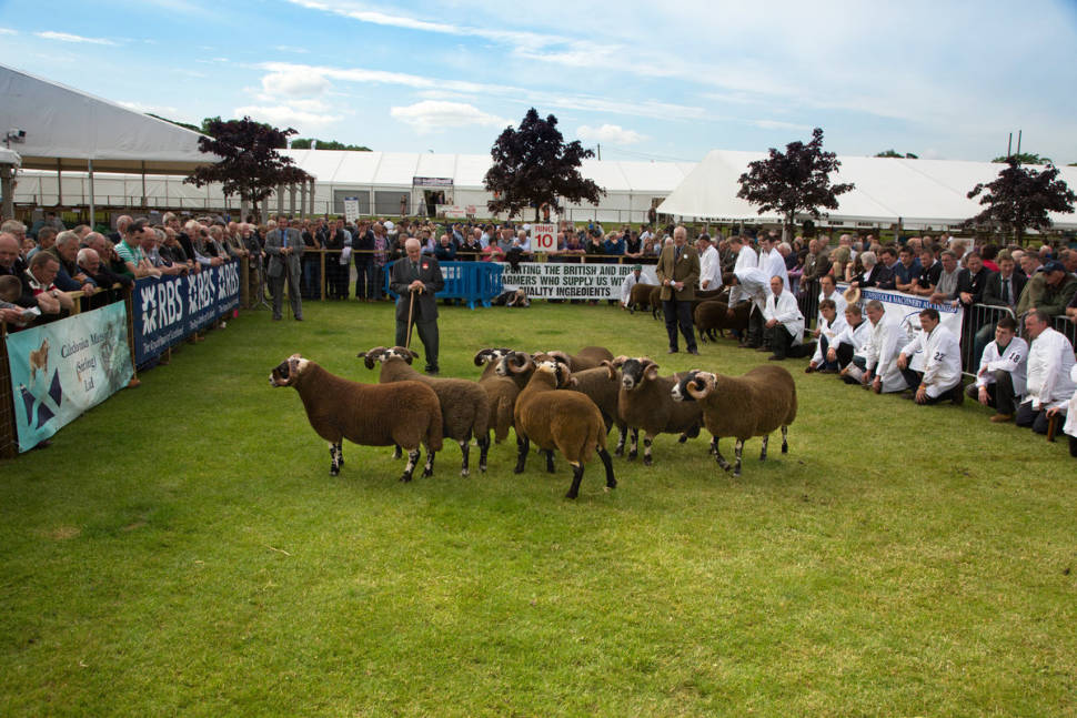 Best time to see Royal Highland Show in Scotland