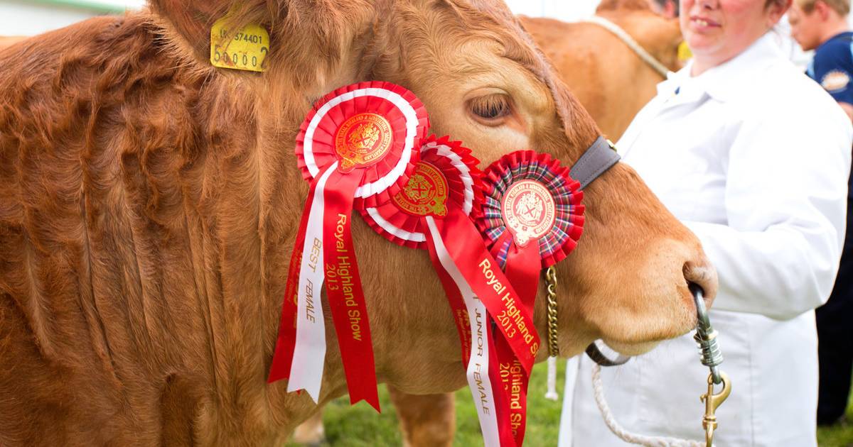 Royal Highland Show in Scotland - Best Time