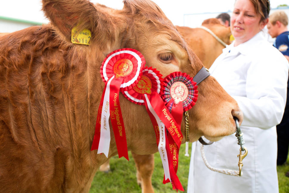 Royal Highland Show in Scotland - Best Time