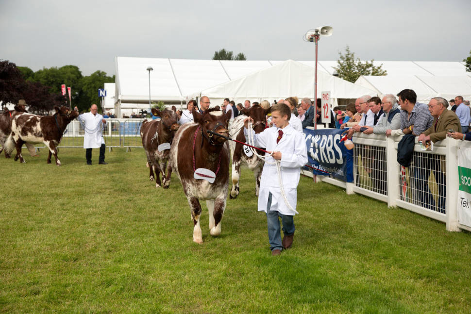 Royal Highland Show in Scotland - Best Season