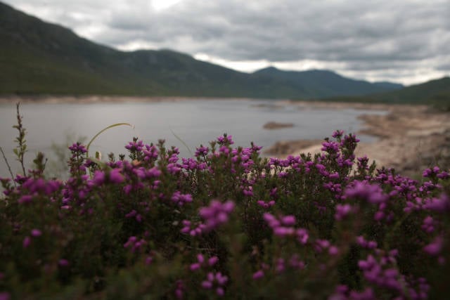 Summer in Scotland - Best Time