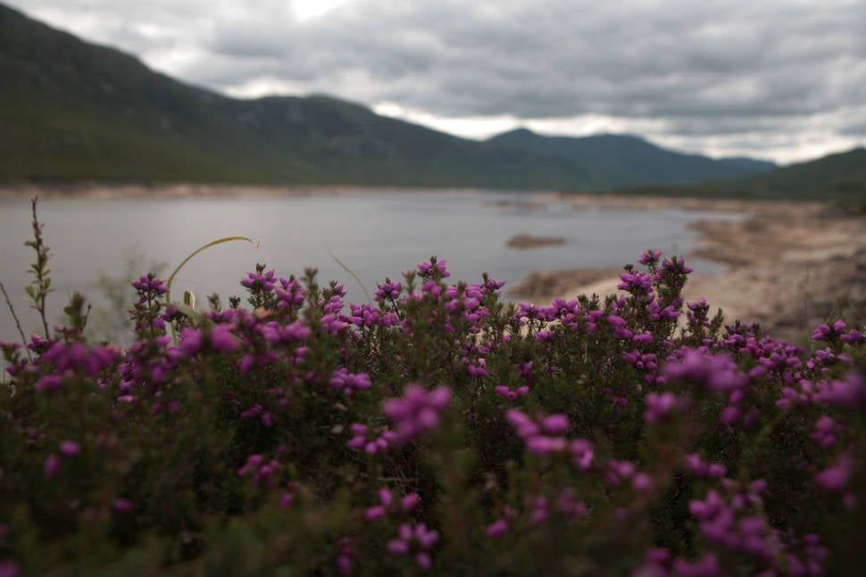 Summer in Scotland - Best Time