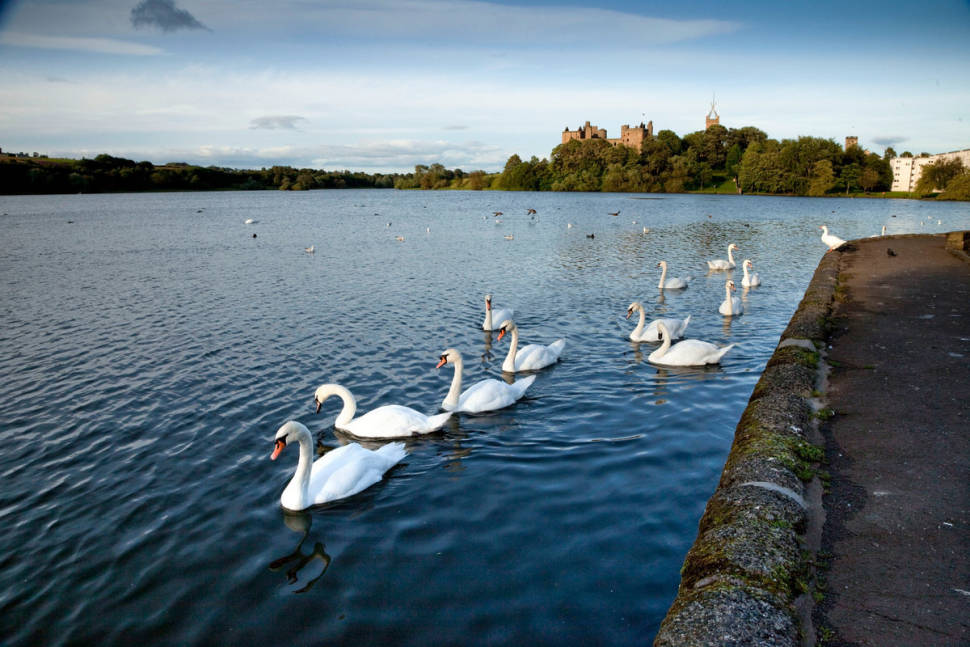 View across Linlithgow Loch to the Palace and St Michael's Parish Church at Linlithgow, a historic Royal Burgh in West Lothian