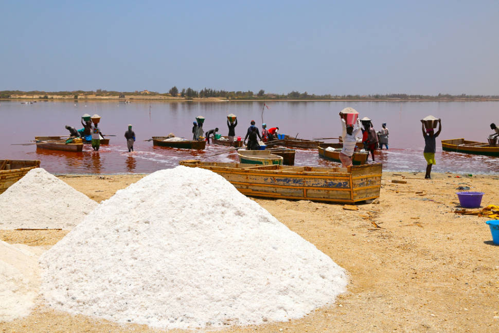 Salt harvesting at Lake Retba