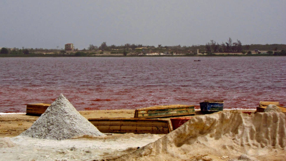 Pink Lake Retba in Senegal - Best Season