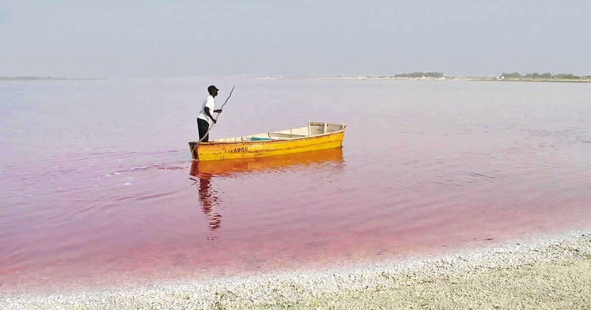 Pink Lake Retba in Senegal - Best Time