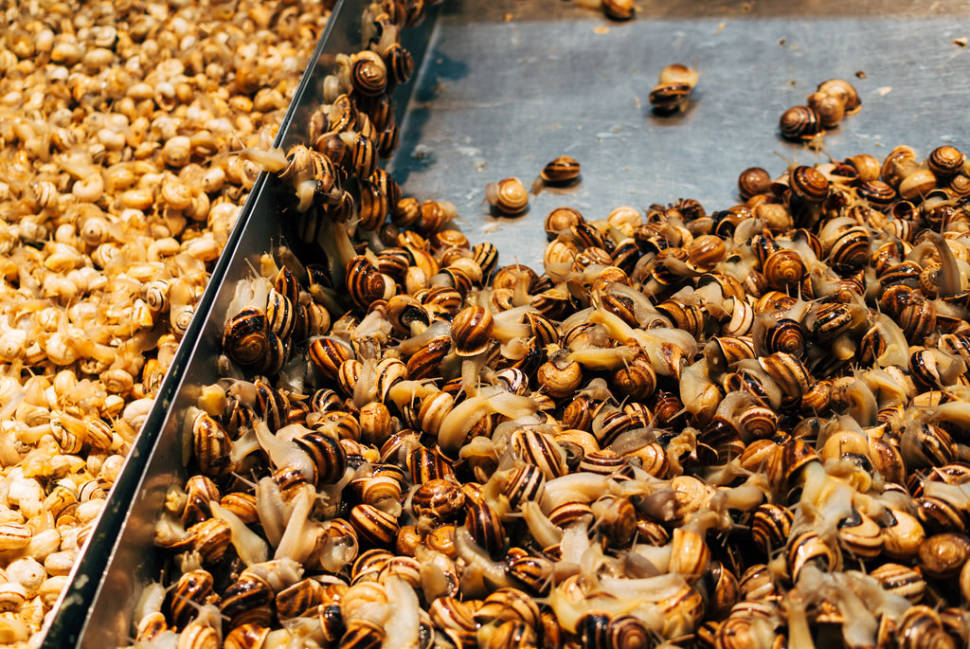 Caracoles or Snails in Seville - Best Time
