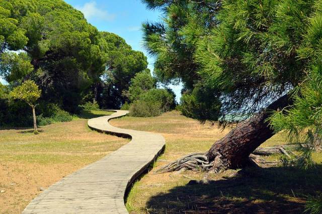 Doñana National Park in Seville - Best Time