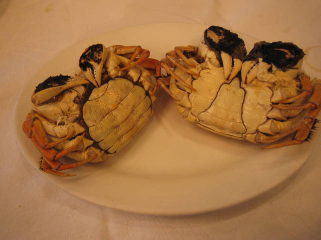 Hairy Crab Season in Shanghai - Best Season