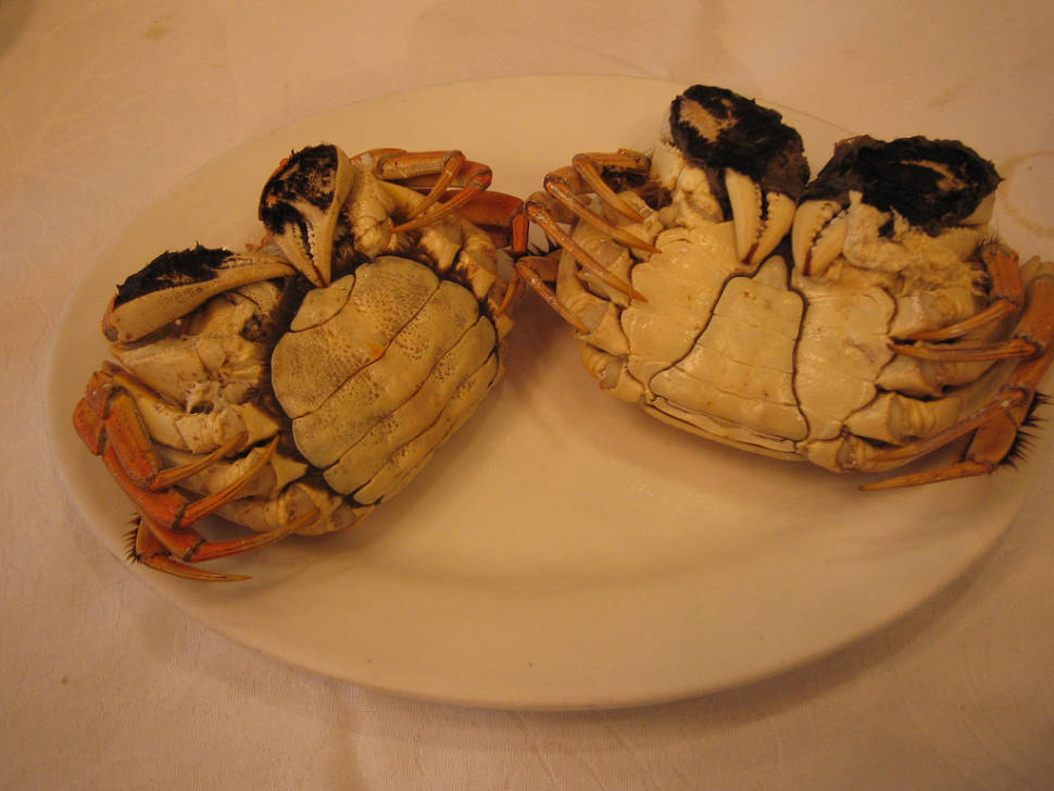 Hairy Crab Season in Shanghai - Best Season