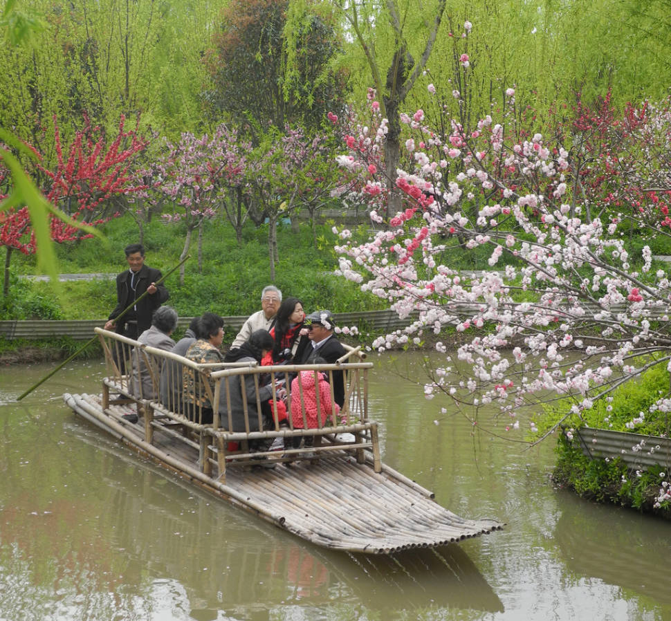 Floating at the Nanhui Peach Blossom Festival in Nanhui, China