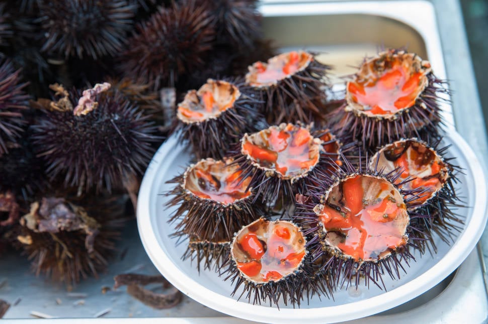Sea Urchins in Sicily - Best Time