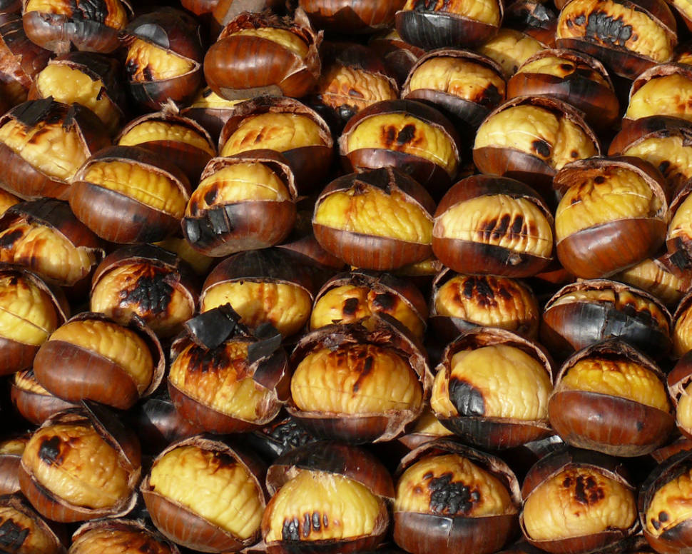 Sicilian Chestnuts in Sicily - Best Season