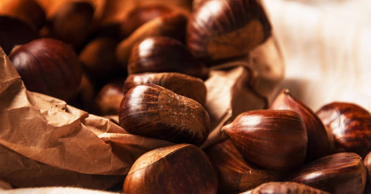 Sicilian Chestnuts in Sicily - Best Time