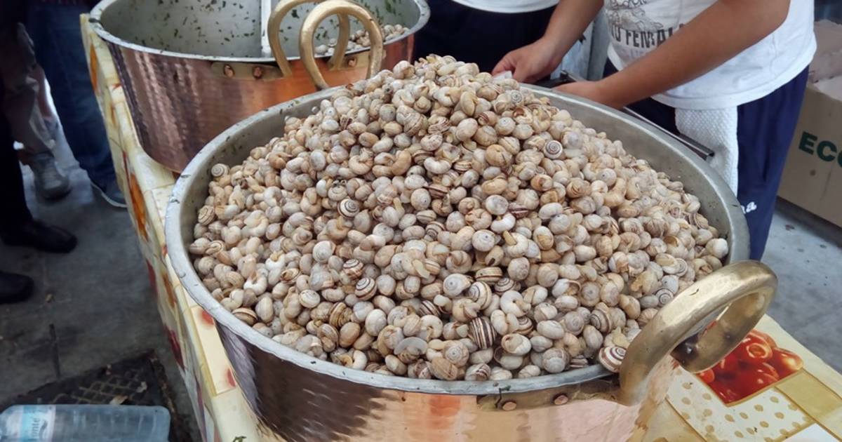 Snails or Babbaluci in Sicily - Best Time