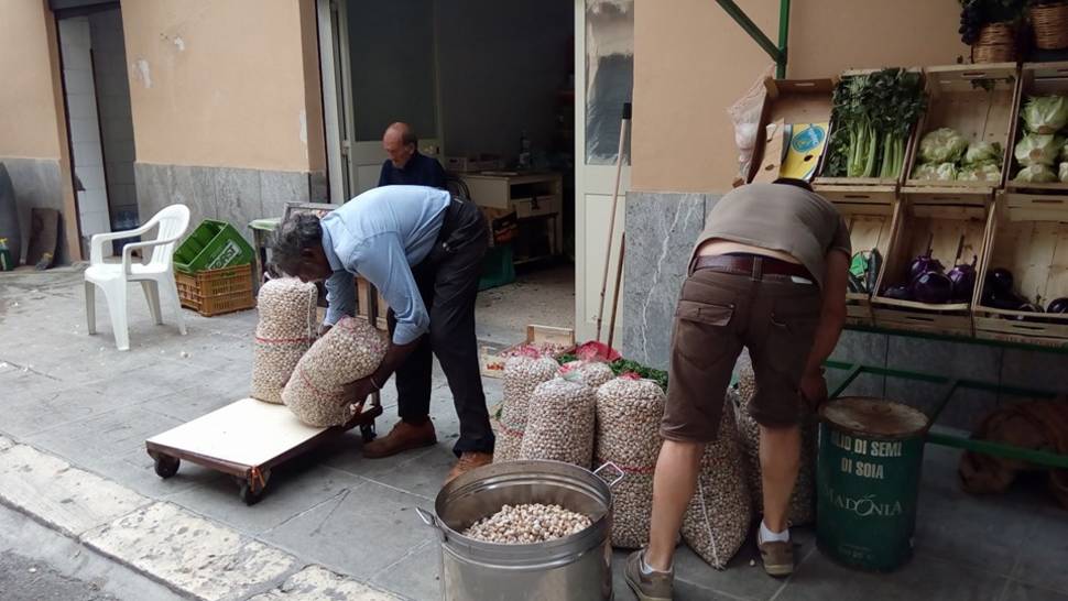 Snails or Babbaluci in Sicily - Best Season