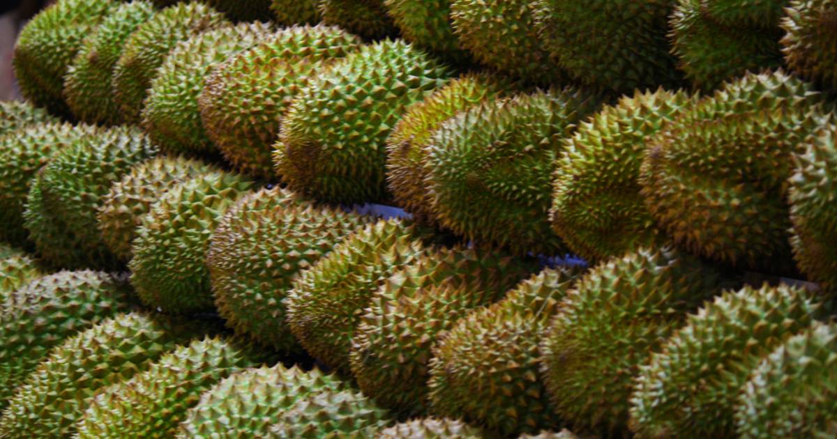 Durian in Singapore - Best Time