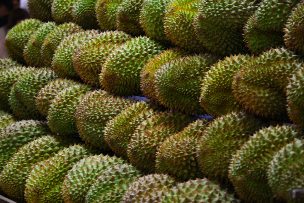 Durian in Singapore - Best Time