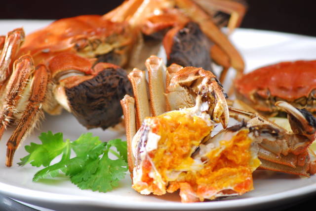Hairy Crabs Season in Singapore - Best Season