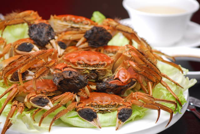 Hairy Crabs Season in Singapore - Best Time