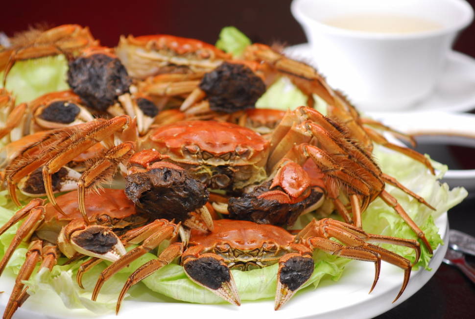 Hairy Crabs Season in Singapore - Best Time