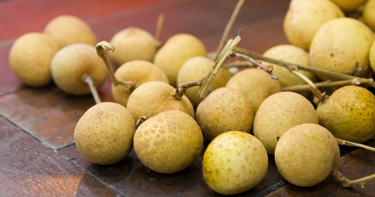 Longan in Singapore - Best Time