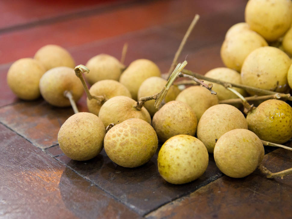 Longan in Singapore - Best Time