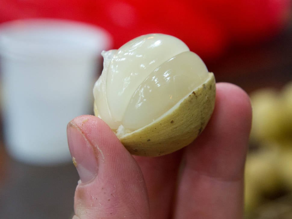 Longan in Singapore - Best Season