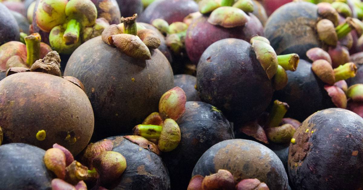 Mangosteen in Singapore - Best Time