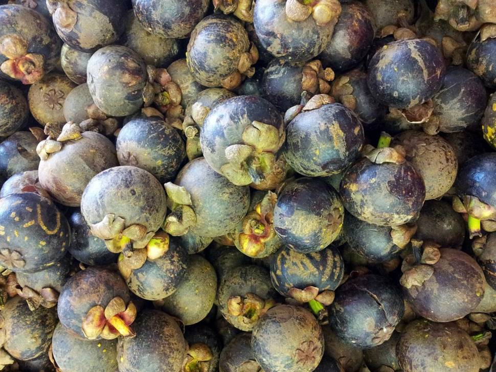 Mangosteen in Singapore - Best Season