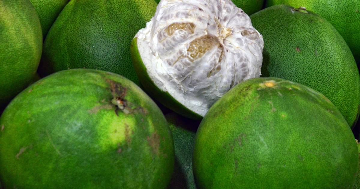 Pomelo in Singapore - Best Time