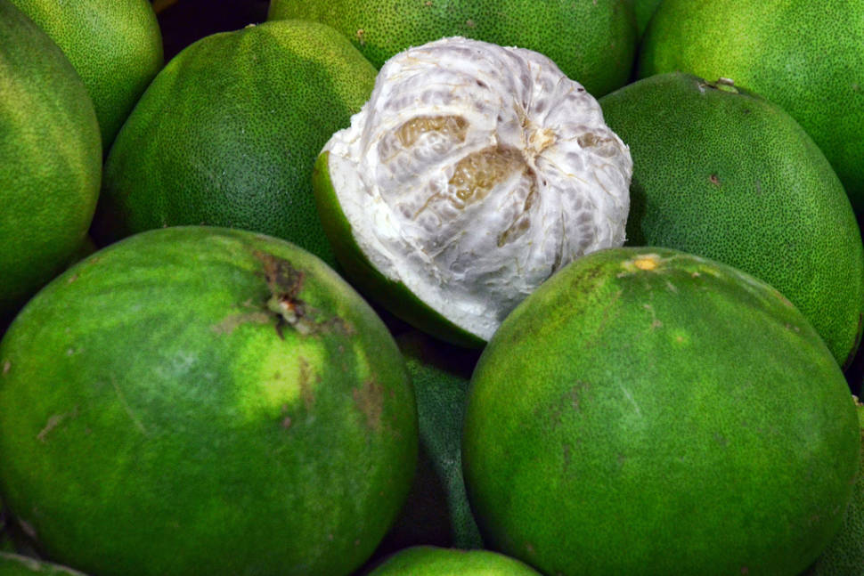 Pomelo in Singapore - Best Time