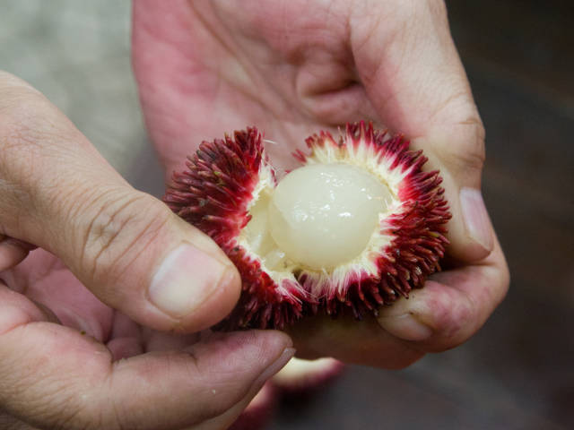 Rambutan in Singapore - Best Time