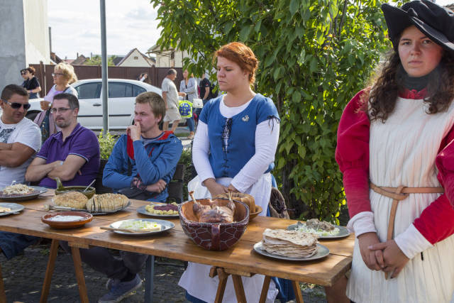 Best time for Goose & Duck Feast in Slovenský Grob in Slovakia