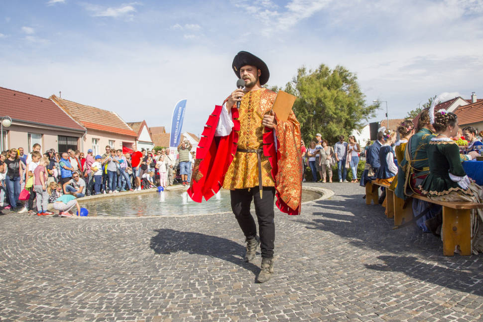 Best time to see Goose & Duck Feast in Slovenský Grob in Slovakia