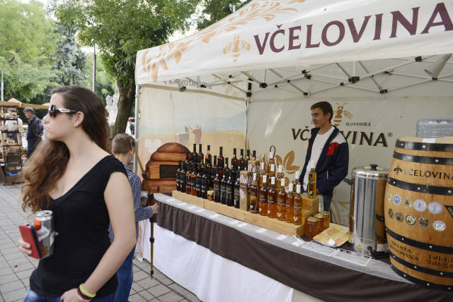 Best time for Wine Season in Slovakia